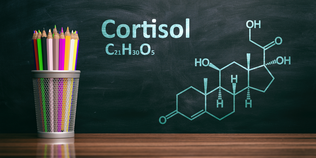 Your Guide to Managing Cortisol Production: Insights from an Endocrinologist in Northwest Indiana